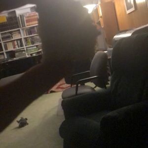 Meet your Posher, Calvin